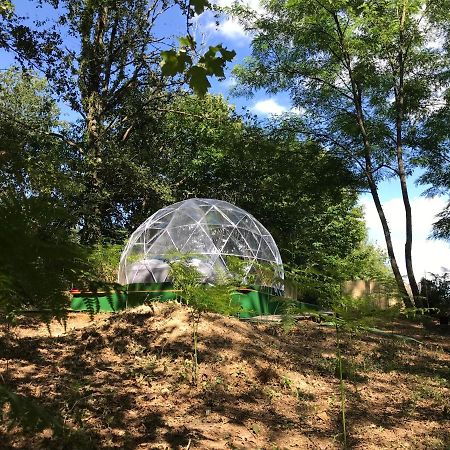 Bulle Etoilee En Nature Landaise Saint-Sever  外观 照片