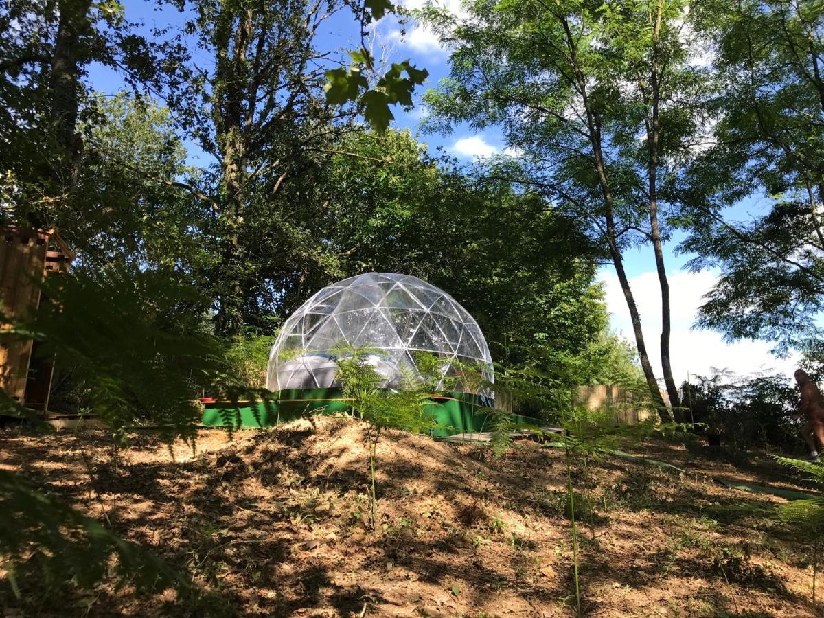 Bulle Etoilee En Nature Landaise Saint-Sever  外观 照片