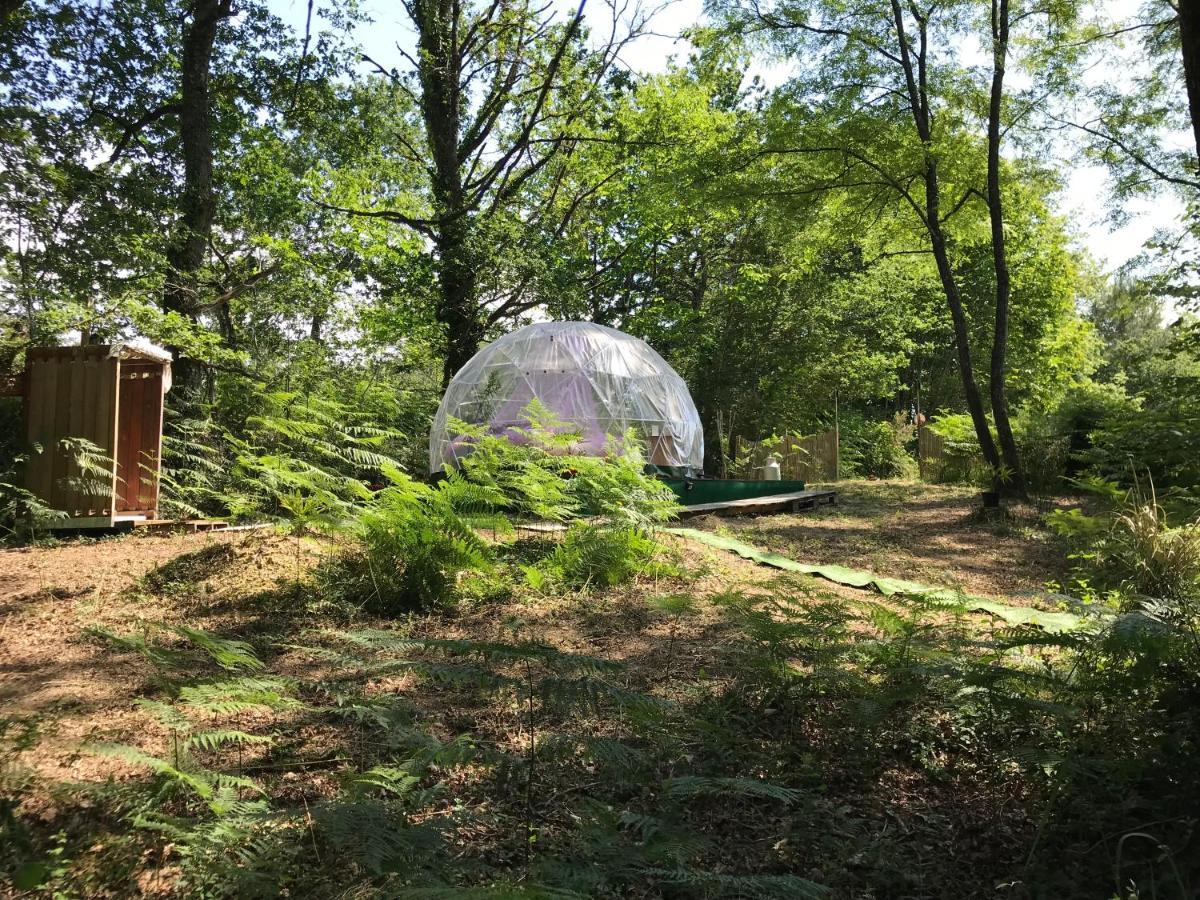 Bulle Etoilee En Nature Landaise Saint-Sever  外观 照片