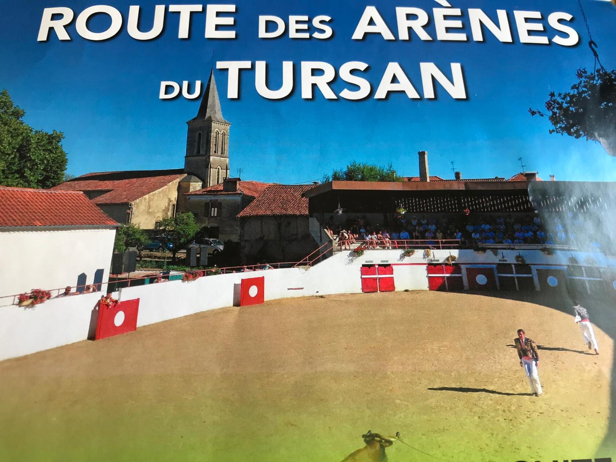 Bulle Etoilee En Nature Landaise Saint-Sever  外观 照片